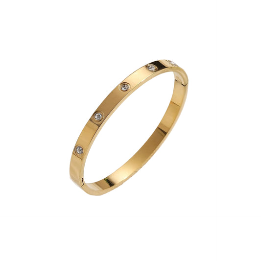 Titanium Steel Clover/Bangle Bracelet